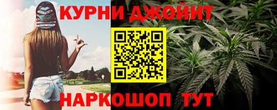 прущие грибы Гай