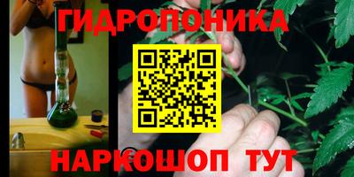 jwh Гатчина