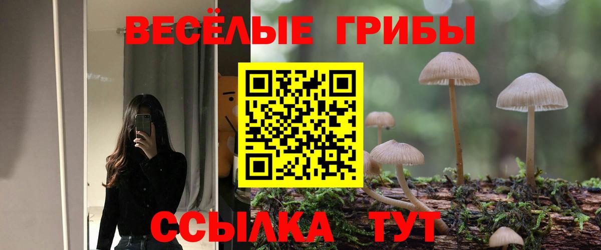 как найти наркотики  Вход с VPN  Осинники  Псилоцибиновые грибы ЛСД 